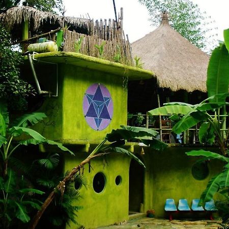 Casa Caracol Hotel San Luis Potosí Екстериор снимка