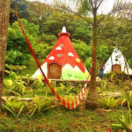 Casa Caracol Hotel San Luis Potosí Екстериор снимка