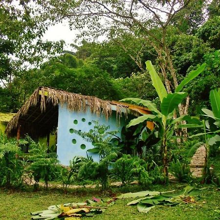 Casa Caracol Hotel San Luis Potosí Екстериор снимка